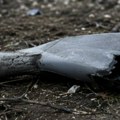 Rumunija na sve češćem udaru: Opet pao dron blizu granice sa Ukrajinom, Bukurešt u panici