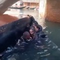(VIDEO) Gondola se prevrnula zbog neposlušnih turista, završili u hladnoj i mutnoj vodi