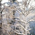Prognoza RHMZ za februar: Nismo završili sa snegom i hladnoćom