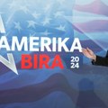 Amerika bira