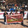 ODRŽAN PROTESTNI SKUP U PIROTU: Odata počast žrtvama i iskazana podrška studentima