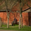 RZS: U Srbiji prošle godine više od petine ljudi starije od 65 godina