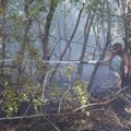Albanija: buknuo čak 21 požar za samo 24 sata