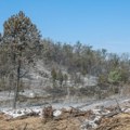 Dim požara stiže i do gradova i ugrožava zdravlje: "Zbog klimatskih promena biće ih sve više"