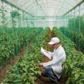 Pokrajina pomaže paorima - Za sertifikaciju sistema bezbednosti hrane izdvaja milion dinara