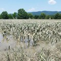 Poplave u Srbiji: Kako obnoviti život i osušiti kuću, četvrti put u sedam godina