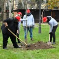 FOTO: Nastavljena akcija sadnje drveća u Novom Sadu, svaka mesna zajednica dobija po jedan koprivić