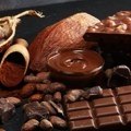 Čokolada će verovatno poskupeti širom sveta: Afričke fabrike koje proizvode kakao stopiraju preradu zbog troškova