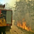 Bukti u Crnoj Gori: Požari besne na Cetinju i kod Podgorice