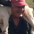 Spasili jare iz rupe duboke 10 metara! Veliko srce spasilaca iz Podgorice (foto, video)
