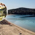 Mi od njih maslinovo ulje, a evo šta Grci masovno uvoze iz Srbije: Za ovim domaćim proizvodima su "poludeli"