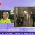Izložba pasa mešanaca u Kikindi - nagrada za odgovorno vlasništvo i poziv na udomljavanje