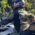 Hit prizor na beogradskim ulicama Pas na motoru, nosi naočare i uživa u vožnji (video)