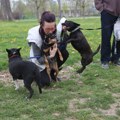 Novi Sad: Prošle godine udomljeno 263 psa iz prihvatilišta Zoohigijene (AUDIO)