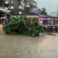 Nevreme u Kragujevcu i Novom Pazaru: Olujni vetar obarao stabla i bandere, leteli delovi krovova (VIDEO, FOTO)