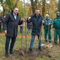 Za park pun autohtonih vrsta: U Zrenjaninu posađena prva od 250 sadnica lipe, u planu i lišćar, hrast i javor