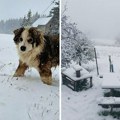 Ljudi gledaju sliku iz Srbije i ne veruju da je nastala u maju: Autor nam otkrio gde je tačno napravljena