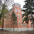 Žena preminula nakon što je na nju palo drvo u dvorištu Prekršajnog suda u Nišu