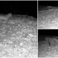 Kamera tokom noći na srpskoj planini snimila sablasan prizor Predator stoji, prilazi mu tročlana grupa, a onda nastaje haos…