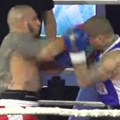 Prihopata bez milosti ! Vuk Mob pretpreo razorne udarce Vase Bakočavića! Težak nokaut!