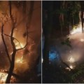 Gori Suva planina, vatra zahvatila dug planinski venac