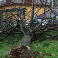 Toalet pao na ogradu, znakovi leteli po ulici, sirene odjekuju gradom: Snimci snažnog nevremena u Zagrebu