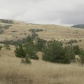 Ni ne znamo koliko je ova planina posebna! Čist vazduh, borova šuma i „ruža vetrova“ prijaju deci sa autizmom i osobama sa…