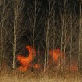 Zaštite šume od požara, budite odgovorni