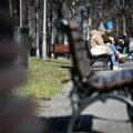 Otrovane pileće glave u beogradskim parkićima: Veterina Beograd i Gradska čistoća sanirali sve