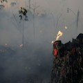 Broj požara u brazilskim močvarama porastao za skoro hiljadu odsto