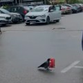 Vrana ukrala smoki sa trafike Snimak ima dva miliona pregleda, komentari su urnebesni: "Ajde ti sad objasni šefu..."