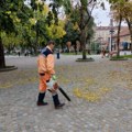 Sakupljanje lišća sa javnih površina