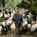 Bugarina sahranili na papiru, a on lutao u divljinama. Godinama je čuvao ovce, ali onda je usledio šok preokret!