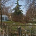"Prostor slobode": Ispred Pionirskog parka napadnuti studenti i profesor iz Berlina zbog - fotografije