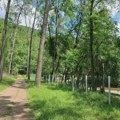 Ograda u zaštićenoj zoni reke Gradac još stoji, iako je prošao rok za njeno uklanjanje (FOTO/VIDEO)