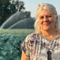 Domaćini iz Viljuše nadaju se rekordnom rodu: Čačanski kupus odlično napreduje, biće ga za zimnicu i svadbarski