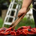 Pekli paprike, izazvali požar?! Ukućani pravili zimnicu, pa zapalili objekat u dvorištu, izgoreo u potpunosti