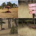 (Foto) Zlatibor nije samo Kraljev trg: Na nekoliko kilometara od centra žive medvedi, vidre i 26 vrsta orhideja