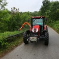 Kose rastinje kraj puteva