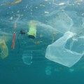 Unesko čisti 50 morskih lokaliteta svetske baštine od plastičnog otpada