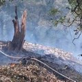 Bukti požar iznad Budve: Vatrenu stihiju proširuje vetar: "Vatra ide ka našim kućama, u strahu smo" (foto, video)