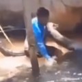 Da se naježiš! Anakonda od pet metara pronađena na plaži! Reagovali vatrogasci (video)