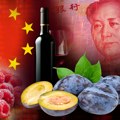 Српска вина ускоро у 200 маркета широм Шандонга! Реализација новог извозног аранжмана: Отпремљено 5.500 литара вина у Кину.