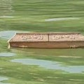 Smešno i jezivo u isto vreme! Ljudi se kupaju u Savi, a pored njih pluta mrtvački sanduk?! Pogledajte šokantnu scenu u…