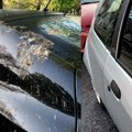 Kako ukloniti ptičji izmet sa automobila bez oštećenja laka?
