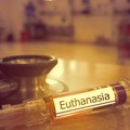 Slovenija danas odlučuje o eutanaziji: Građani glasaju na referendumu
