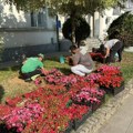 Komunalac: Bujanovac je svakog dana sve lepši