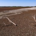 Neke kulture više neće uspevati u Evropi: Poljoprivreda na udaru klimatskih promena