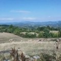 Seoski život uz subvencije - da li podsticanje selidbe iz grada ima ekonomskog smisla