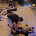Tragedija u Nišu: Kobila poginula u saobraćajnoj nezgodi. Zoo Planet traži kontrolu kretanja konja na ulicama